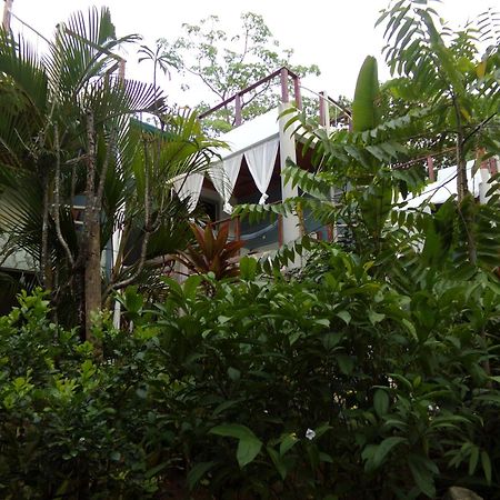 Iluminar Beachfront Suites Nosara Exterior photo