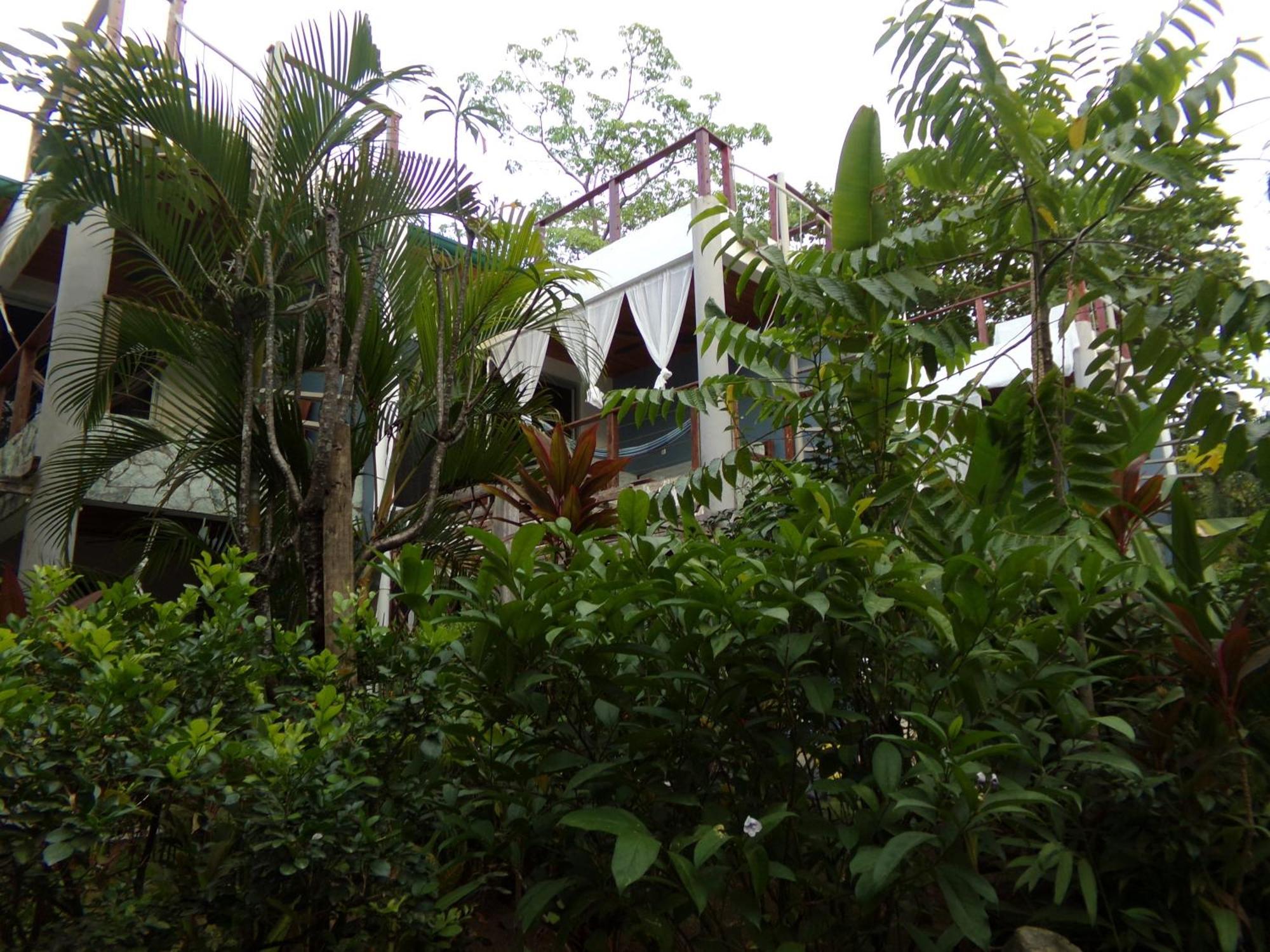 Iluminar Beachfront Suites Nosara Exterior photo